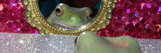 ljentz's profile banner image