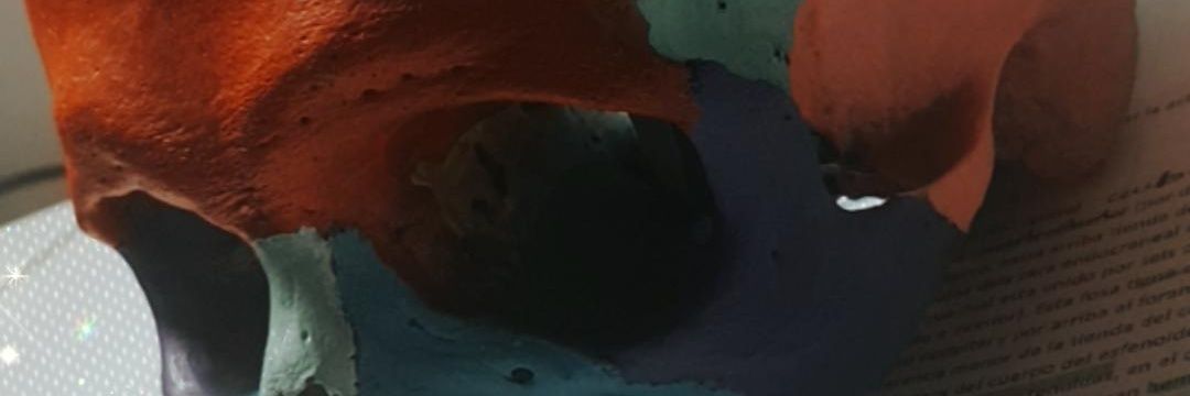 AmiselKanjer1's profile banner image