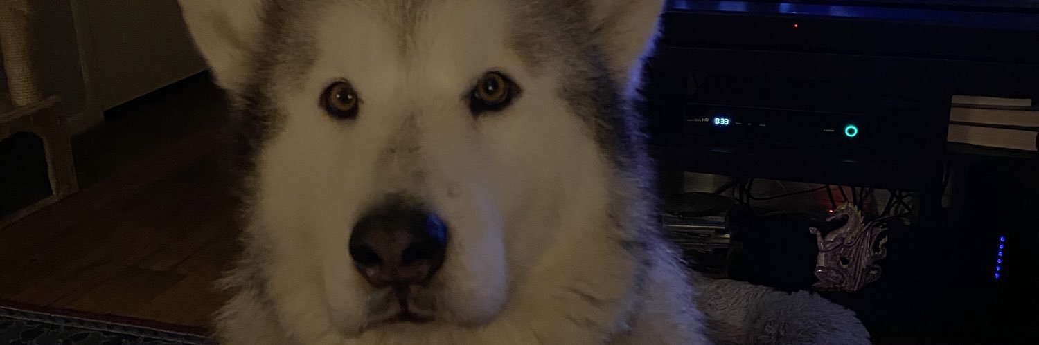 pattyw58's profile banner image