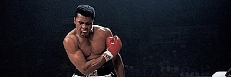 Team_Nelson_'s profile banner image