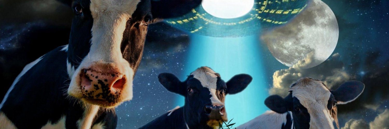 simeserver's profile banner image