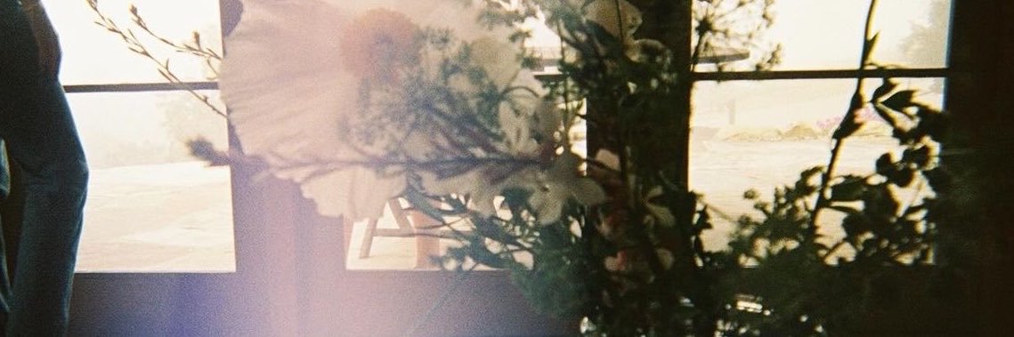 sugarsploom's profile banner image