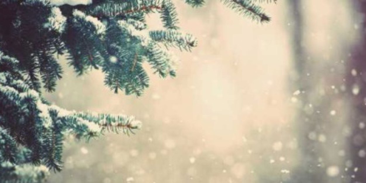 VaskoKelly's profile banner image