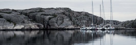 elinsvanstrom's profile banner image
