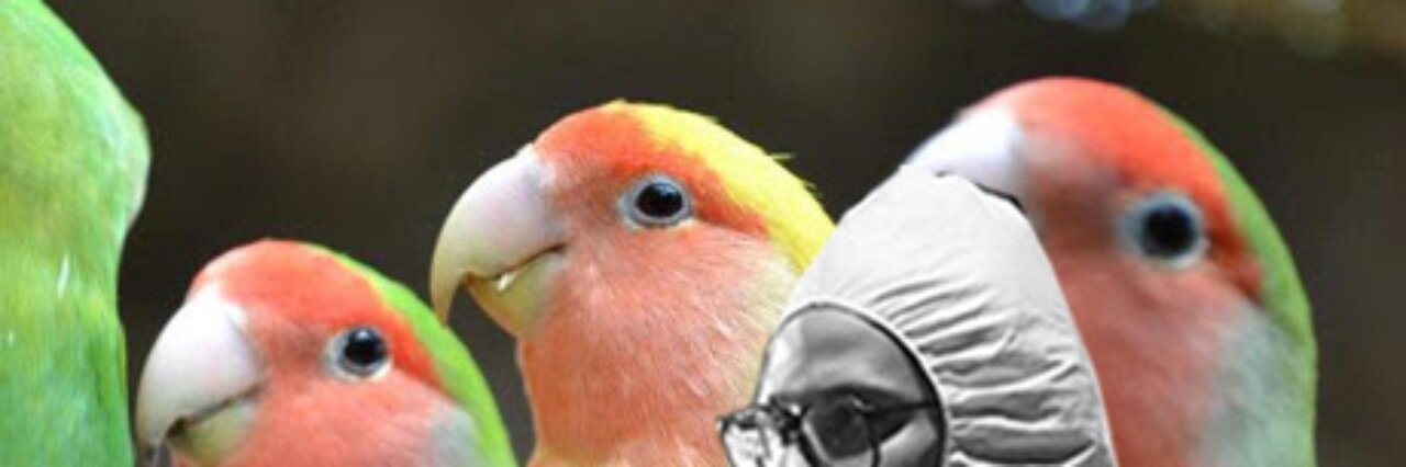 lazarovaliente's profile banner image