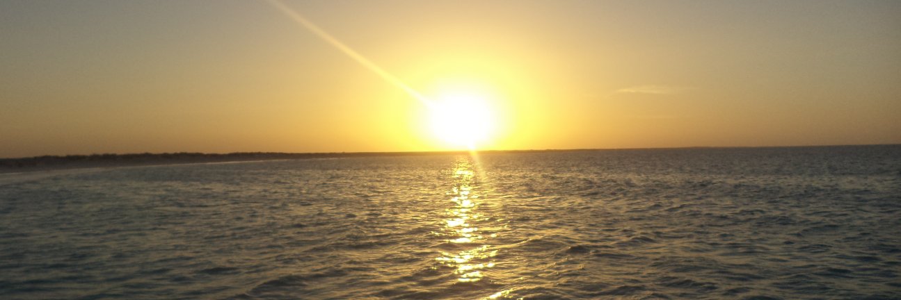 jquintero55's profile banner image