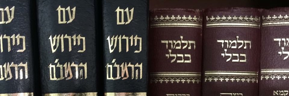 Rabbi Avi banner