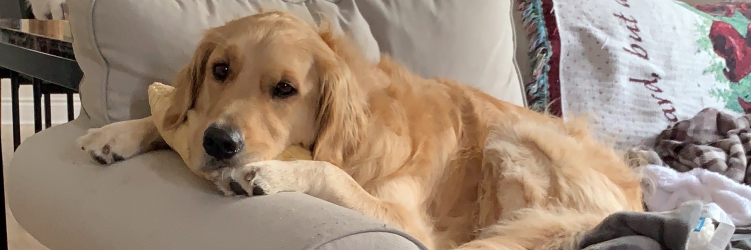 Erin Kotecki Vest banner