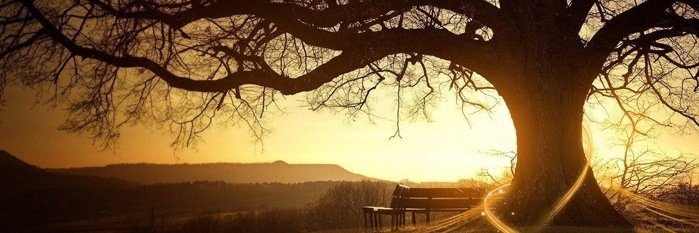 salubrious1's profile banner image