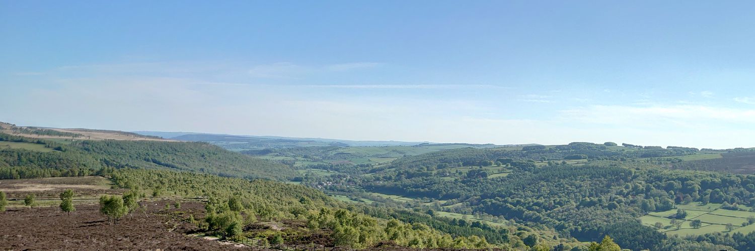 Rob Blaze💚🌱 banner