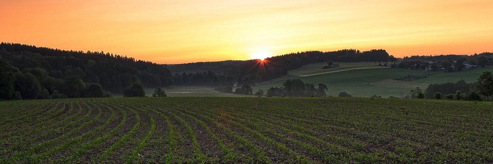 Luca banner