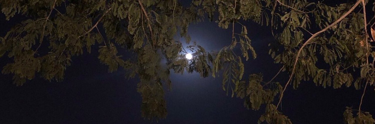 عبـدالعزيز 🇸🇦 banner