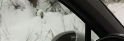 so1zca's profile banner image