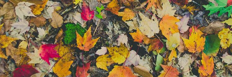 Bam_2698's profile banner image
