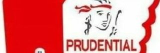roedbell's profile banner image
