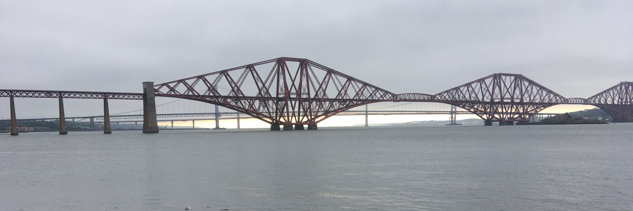 Peter Gallacher banner