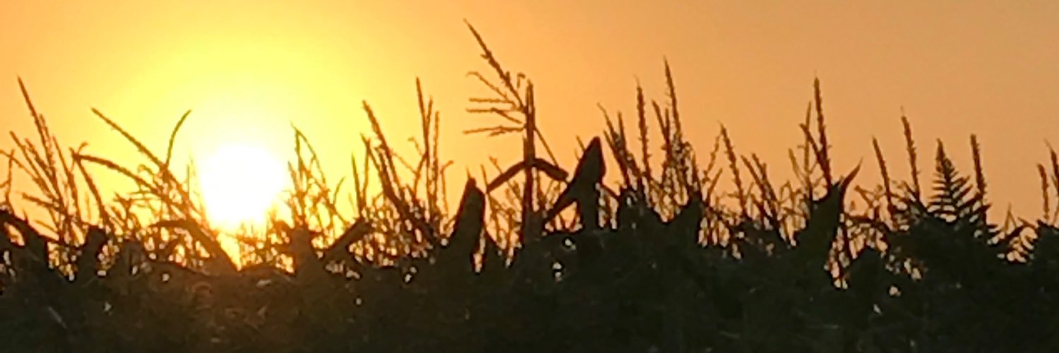 CoJars's profile banner image