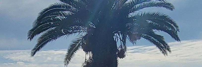 RichestBellside's profile banner image