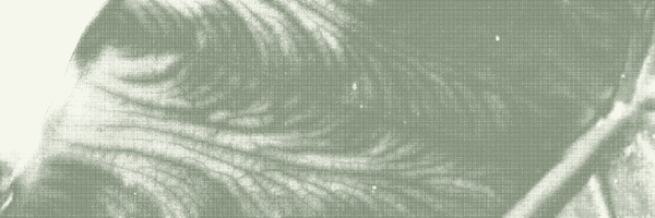 Go_Aptive Profile Banner