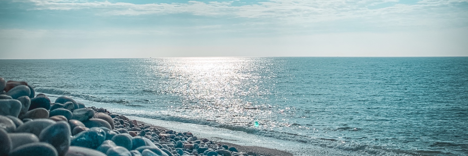 EmeliVictoria_'s profile banner image