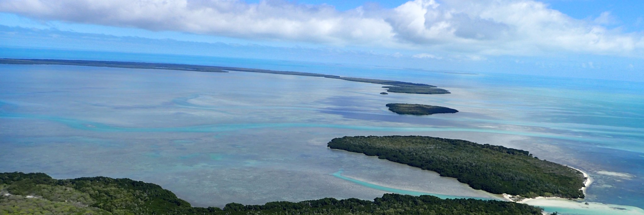 Sarah Steele Cabrera banner