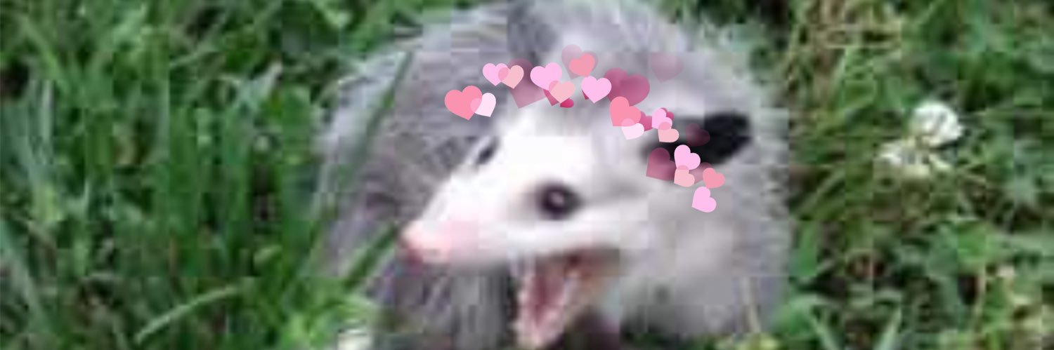 Saruhwpg's profile banner image