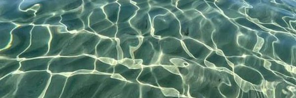 mrSpockVV Profile Banner
