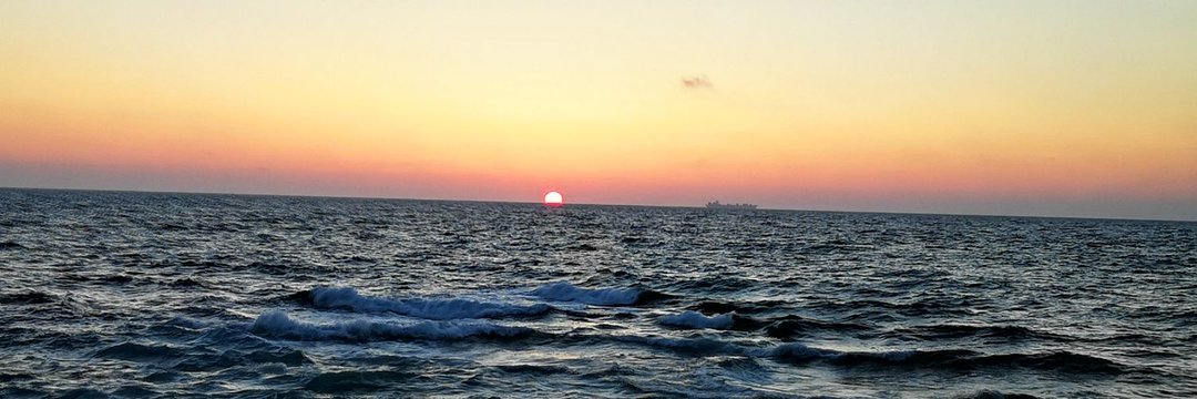 إسلام السيد banner