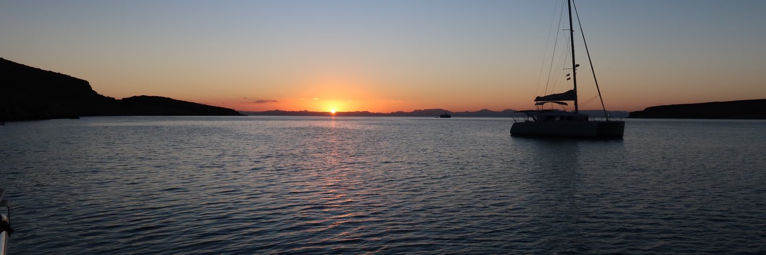 Novelist in Training banner