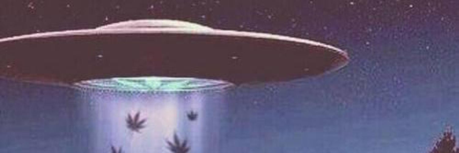 Snoopdrogadao's profile banner image