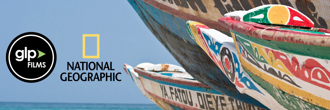 Rob Holmes banner