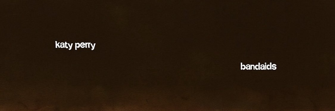 Bandainicius banner