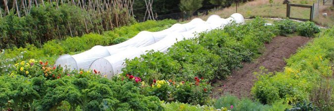 PakarakaPermaculture banner