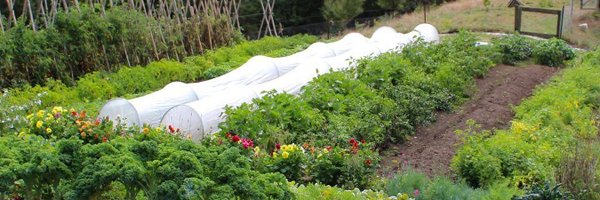 PakarakaPerma Profile Banner