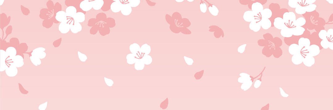 risse0812's profile banner image