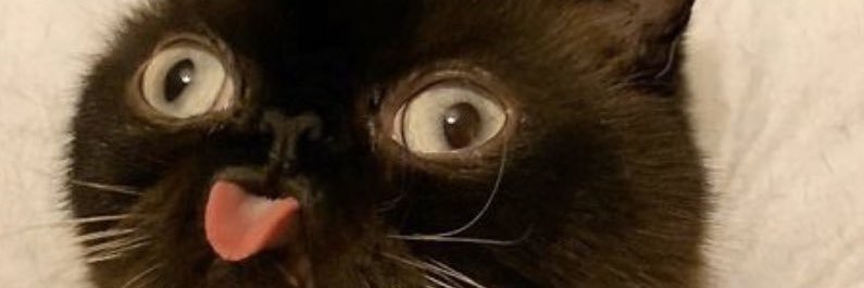 BURRYtos's profile banner image