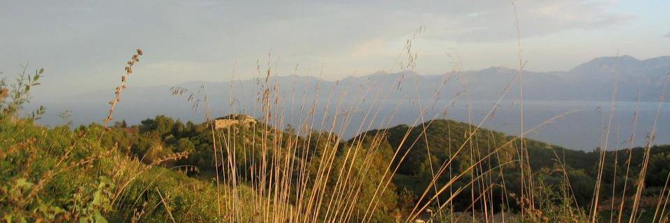 claudetaleb's profile banner image