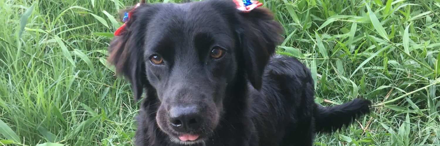 CaahV_'s profile banner image
