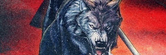 vidoco1907's profile banner image
