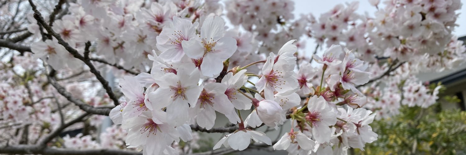 yoji_ropework's profile banner image