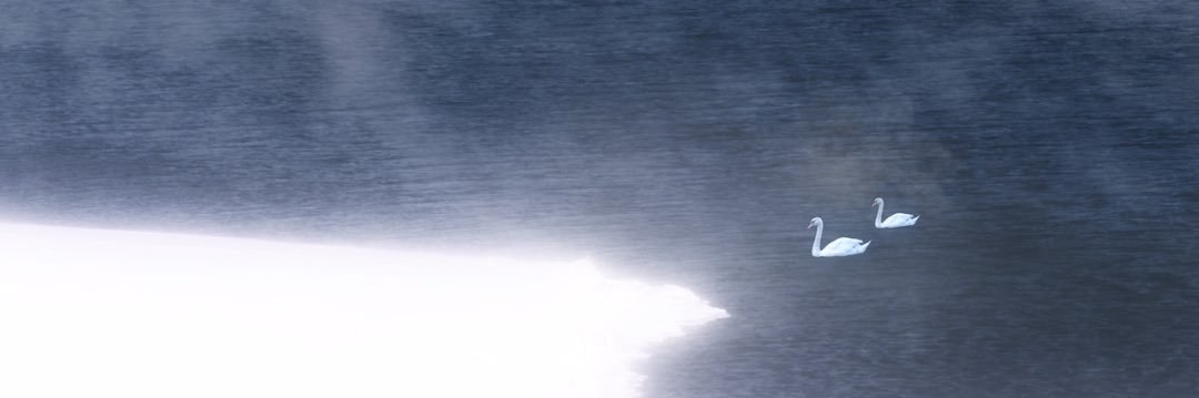 TouOuoco's profile banner image