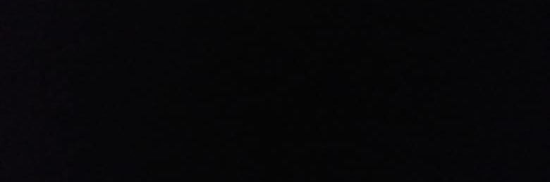 Nishvika official banner