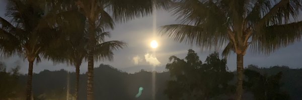 lxntang Profile Banner