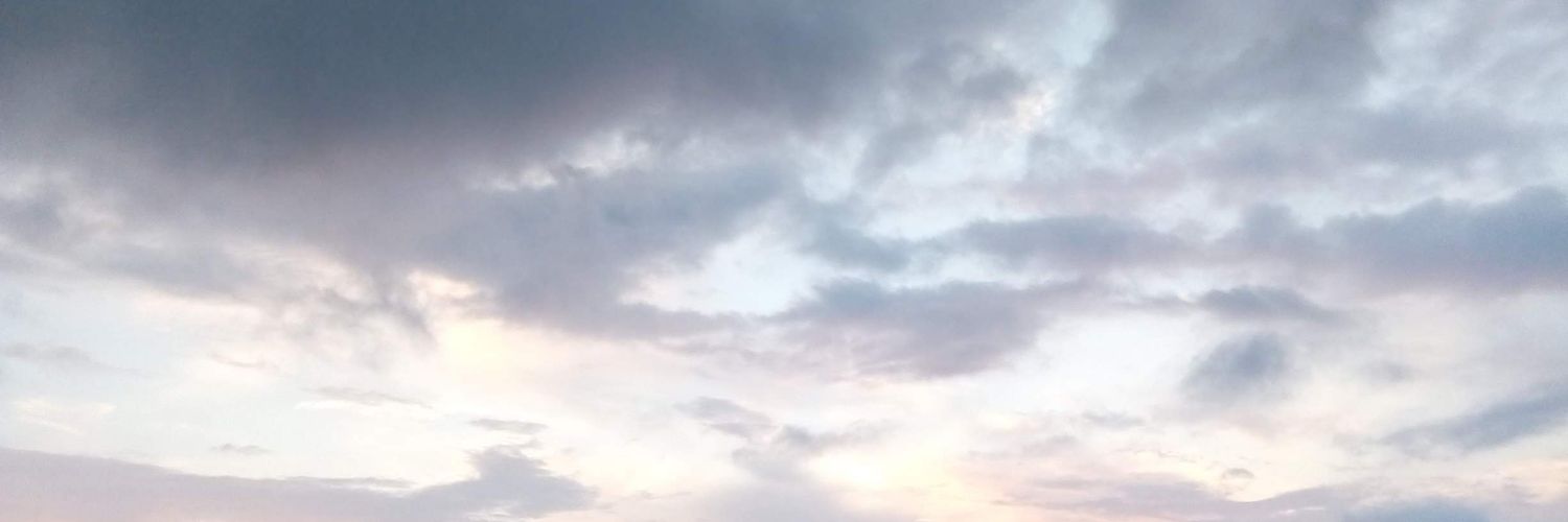 Aleksandra Denić banner