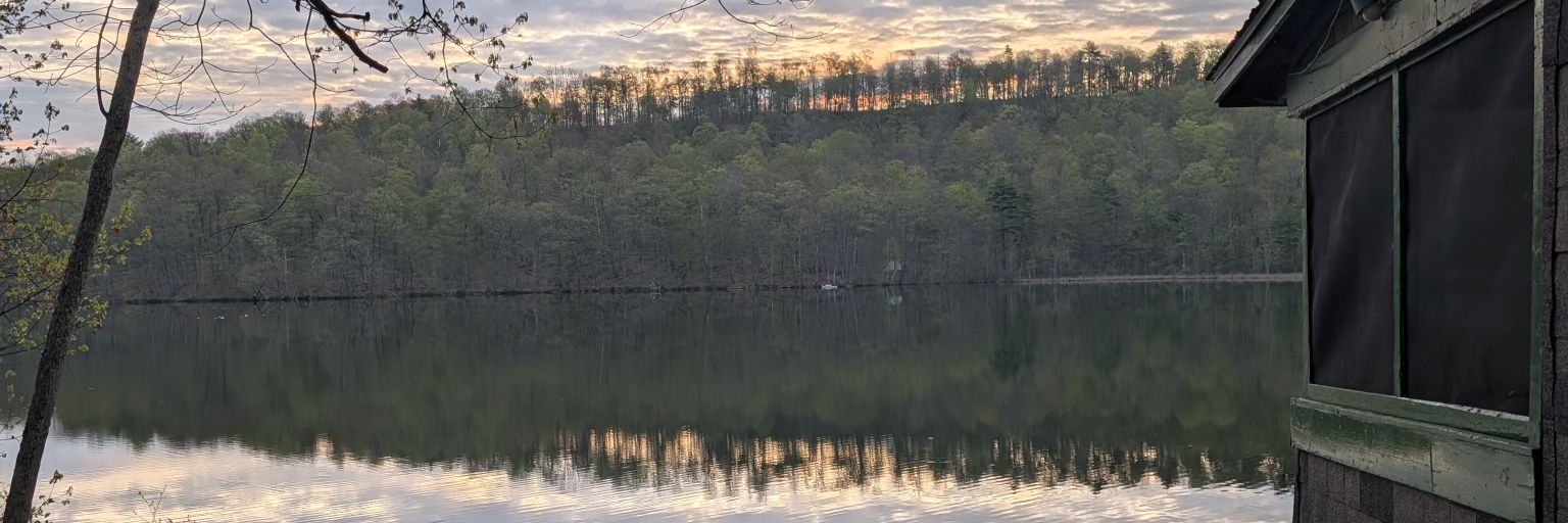 Brian N. Bowes, M.D. banner