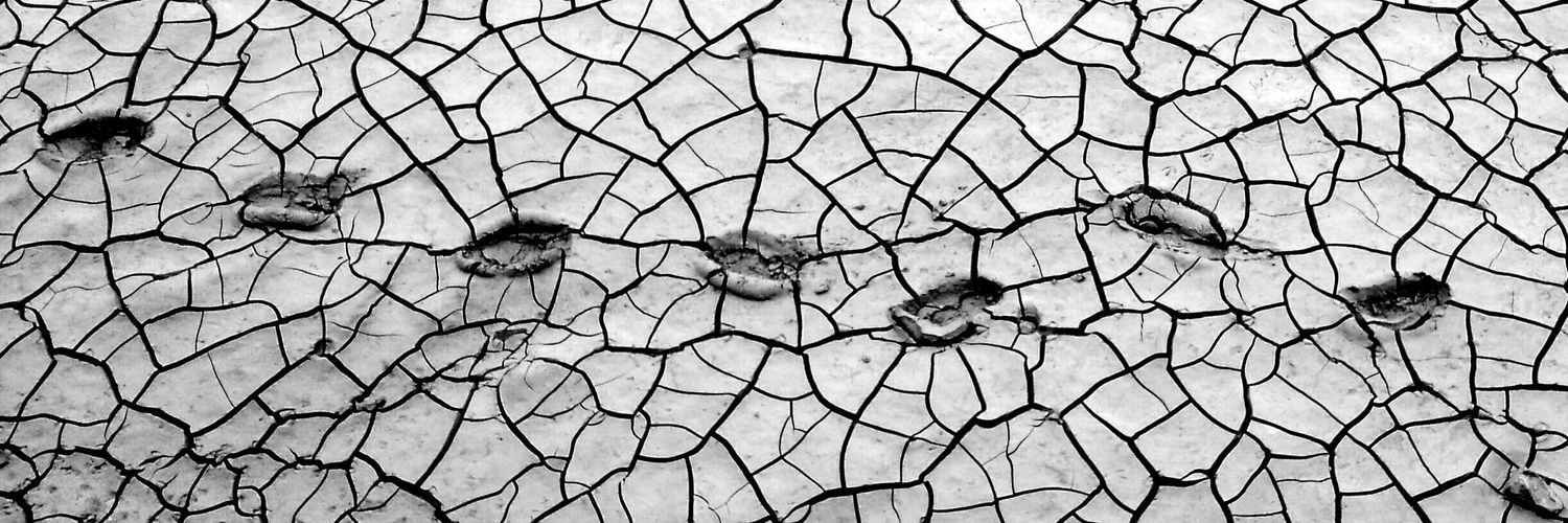 Yolo Keölæy 👾 banner