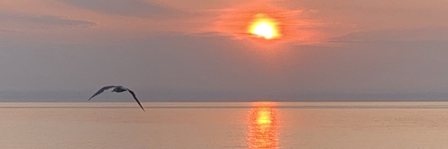 lg1744's profile banner image
