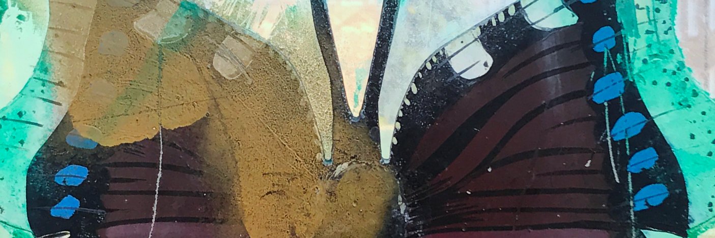 ButterflySE5's profile banner image