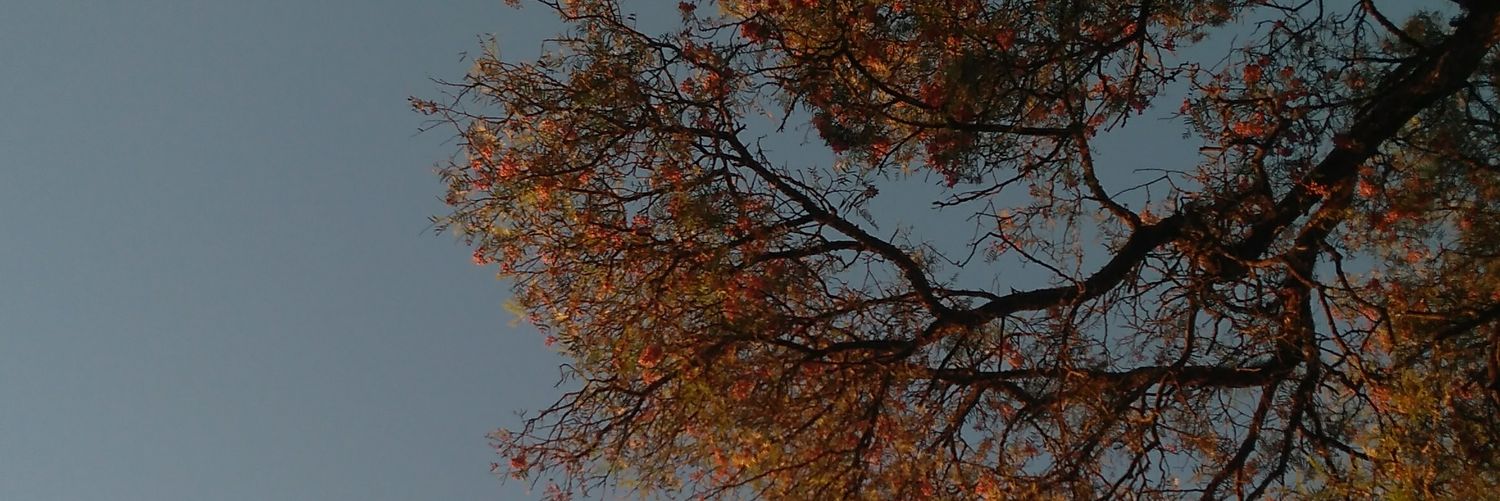 jpexxx's profile banner image