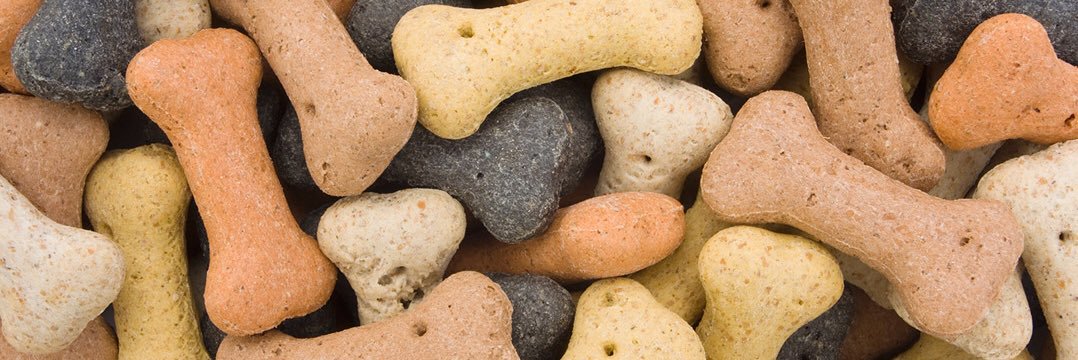 justbarkmilo's profile banner image
